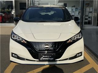 2021 NISSAN LEAF e+G photo 2