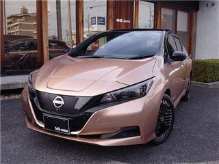 2023 NISSAN LEAF XV Selection