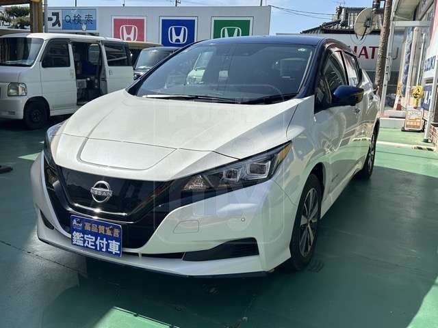 2021 NISSAN LEAF e+ X genuine navigation system, surround view monitor, LED headlights
