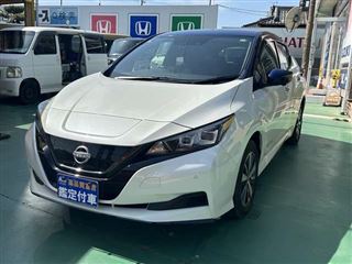 2021 NISSAN LEAF e+ X genuine navigation system, surround view monitor, LED headlights