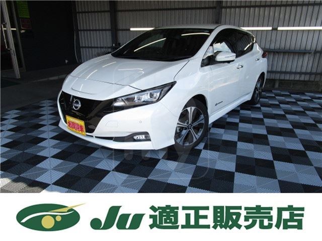 2022 NISSAN LEAF X V Selection