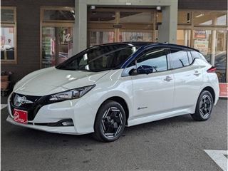 2022 NISSAN LEAF e+ X ★ One owner, non-smoking car, navigation, A-view, ProPILOT