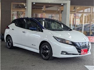 2022 NISSAN LEAF e+ X ★ One owner, non-smoking car, navigation, A-view, ProPILOT photo 4