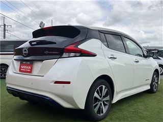 2021 NISSAN LEAF e+ X photo 2