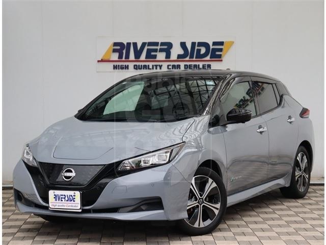 2022 NISSAN LEAF XV Selection