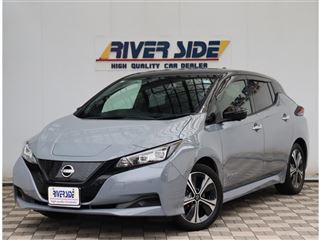 2022 NISSAN LEAF XV Selection