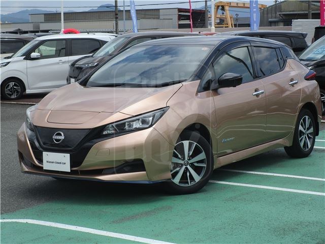 2021 NISSAN LEAF e+X