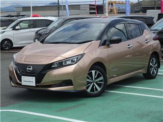 2021 NISSAN LEAF e+X