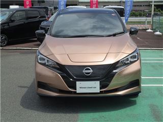 2021 NISSAN LEAF e+X photo 5