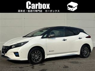 2022 NISSAN LEAF e+ AUTECH