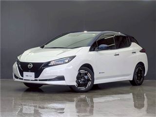 2022 NISSAN LEAF XNC Navigation System (Cold Weather Specification) Charging Cable Backup Camera
