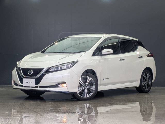 2021 NISSAN LEAF e+ G ★ Genuine Navigation System ★ BOSE Sound System ★ ProPILOT ★ AVM ★ Front and Rear Dashcams ★ ETC