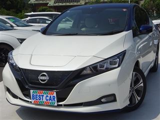 2021 NISSAN LEAF e+ G
