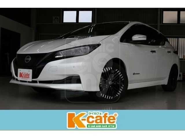 2023 NISSAN LEAF XV Selection