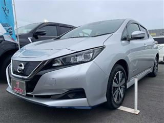 2021 NISSAN LEAF e+ X photo 2