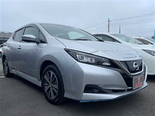 2021 NISSAN LEAF e+ X photo 4