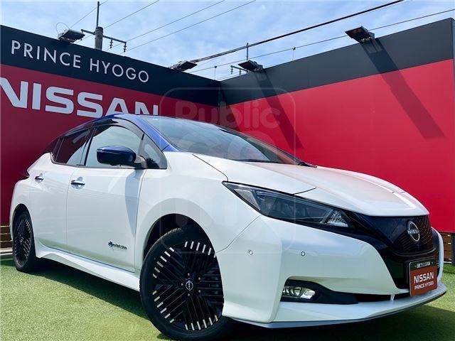 2022 NISSAN LEAF e+ G