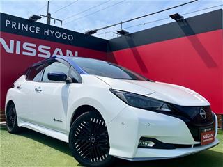 2022 NISSAN LEAF e+ G