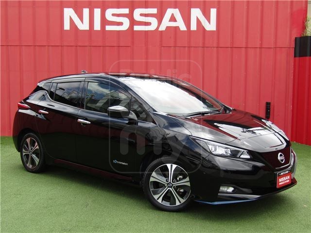 2022 NISSAN LEAF E+G