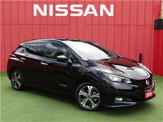 2022 NISSAN LEAF E+G