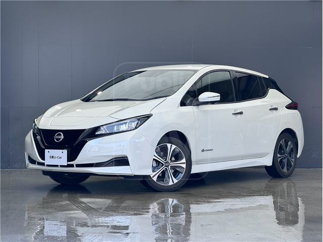 2022 NISSAN LEAF XV Selection ★ 1 Owner ★ Genuine 9-inch Navigation System ★ ProPILOT ★ Alamoni (Automatic Monitor) ★ Cold Weather Package