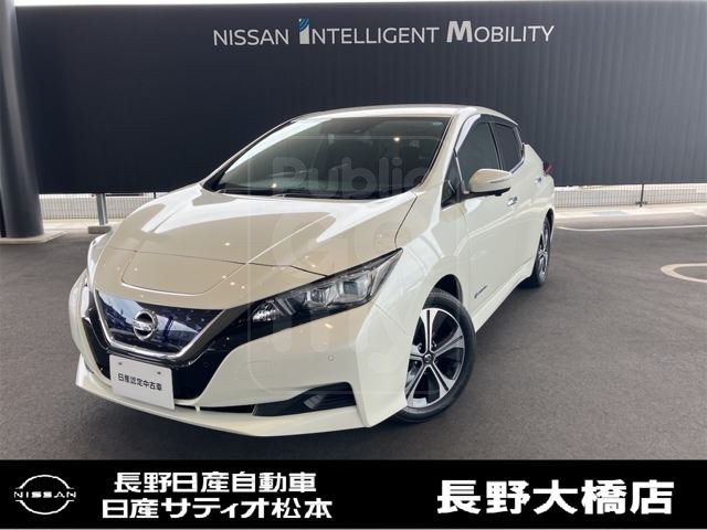 2021 NISSAN LEAF XV Selection