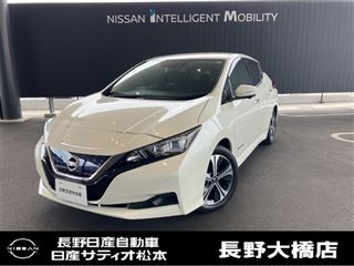 2021 NISSAN LEAF XV Selection