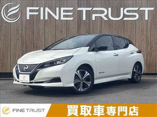 2021 NISSAN LEAF XV Selection