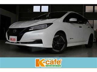 2023 NISSAN LEAF XV Selection