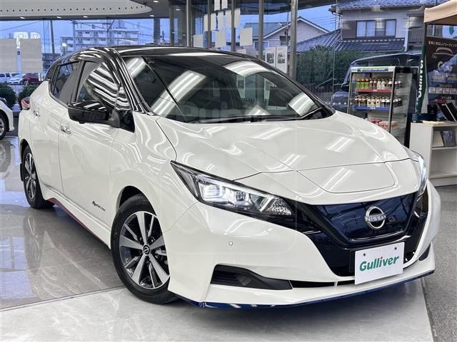 2021 NISSAN LEAF e+ X