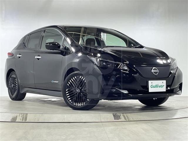 2023 NISSAN LEAF X V Selection