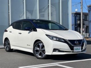 2021 NISSAN LEAF X V Selection