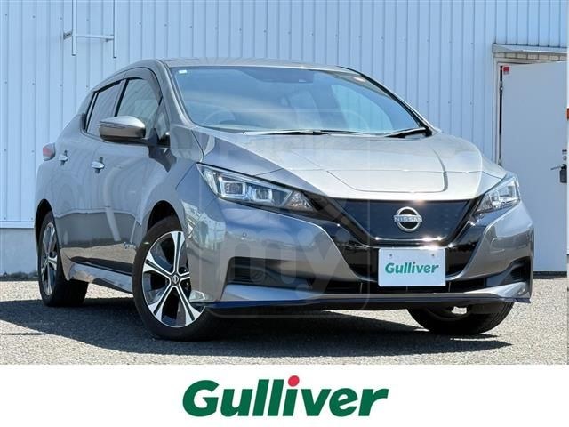 2022 NISSAN LEAF e+ X