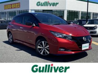 2021 NISSAN LEAF e+ X