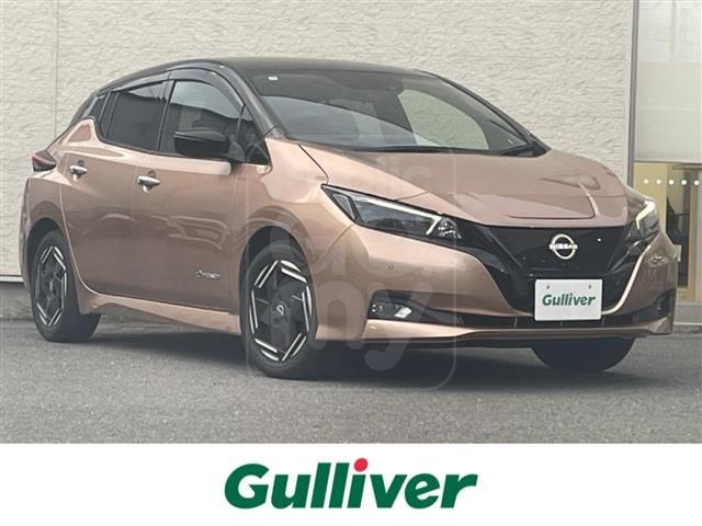 2022 NISSAN LEAF X