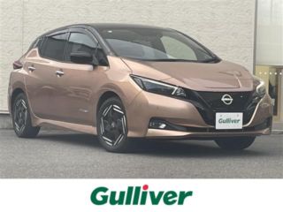 2022 NISSAN LEAF X