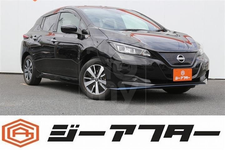 2021 NISSAN LEAF e+ X