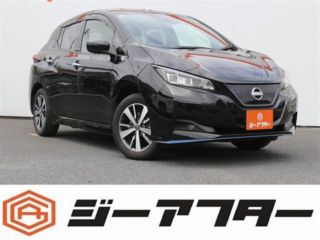 2021 NISSAN LEAF e+ X