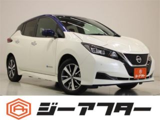 2021 NISSAN LEAF e+ X