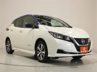2021 NISSAN LEAF e+ X photo 5