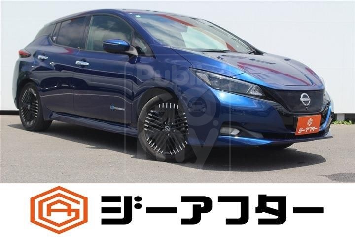 2022 NISSAN LEAF G