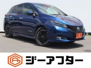 2022 NISSAN LEAF G