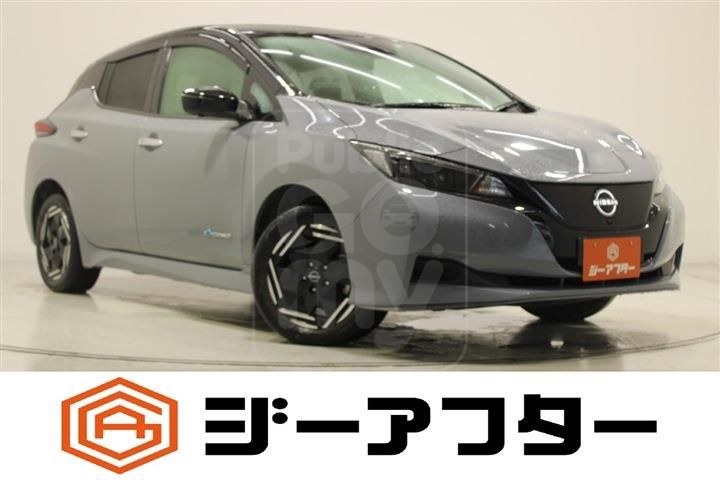2022 NISSAN LEAF e+x