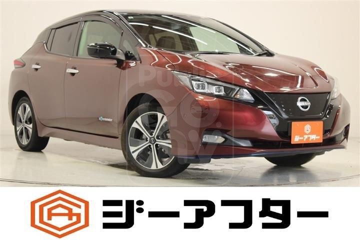 2021 NISSAN LEAF e+ G