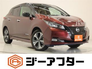 2021 NISSAN LEAF e+ G