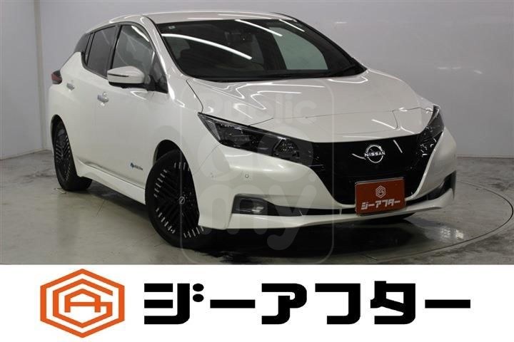 2022 NISSAN LEAF G