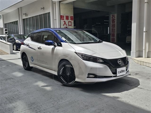 2023 NISSAN LEAF e+G