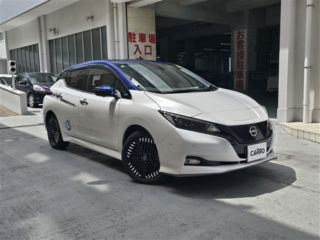 2023 NISSAN LEAF e+G