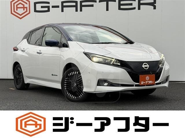 2022 NISSAN LEAF e+G