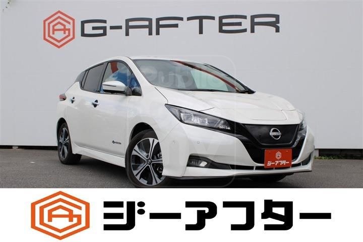 2021 NISSAN LEAF e+ G